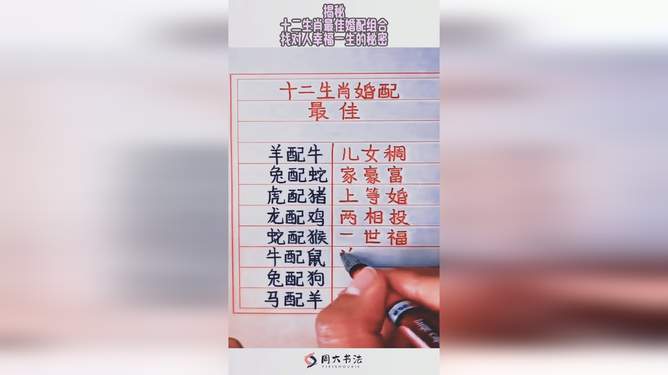 见兔顾犬打一最佳生肖请全面释义、解释与落实、精准解答解释落实